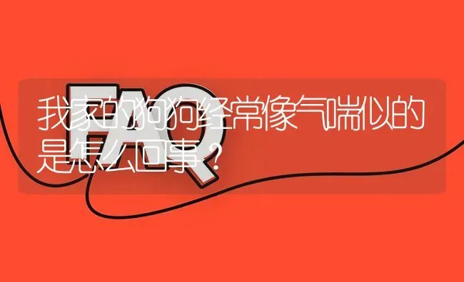 我家的狗狗经常像气喘似的是怎么回事？ | 动物养殖问答