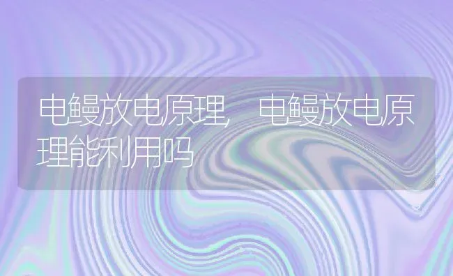 电鳗放电原理,电鳗放电原理能利用吗 | 宠物百科知识