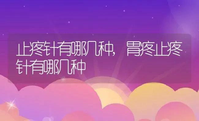 止疼针有哪几种,胃疼止疼针有哪几种 | 宠物百科知识