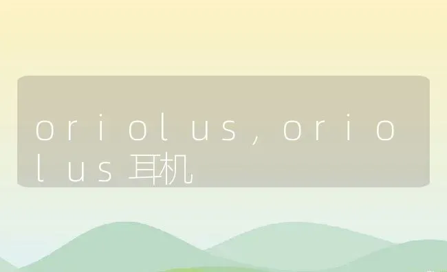 oriolus,oriolus耳机 | 宠物百科知识