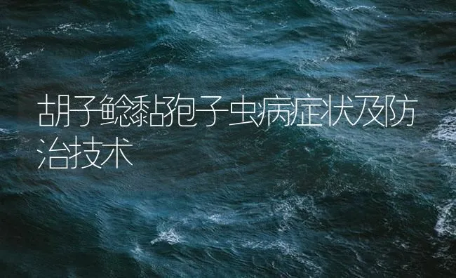 胡子鲶黏孢子虫病症状及防治技术 | 海水养殖技术