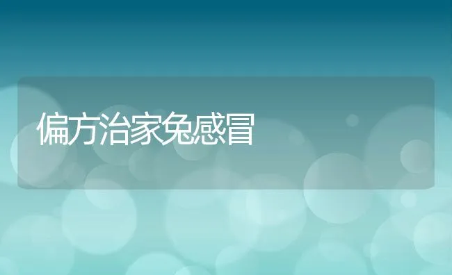 偏方治家兔感冒 | 水产养殖知识