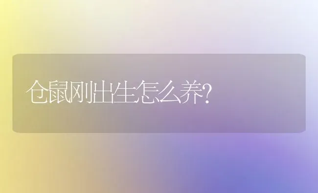 狗狗身上一摸有硬伽是什么病？ | 动物养殖问答