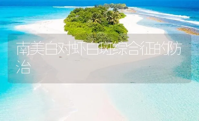 南美白对虾白斑综合征的防治 | 海水养殖技术