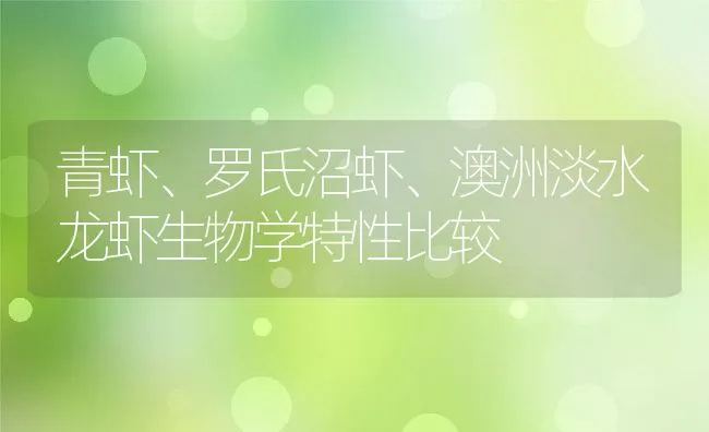 青虾、罗氏沼虾、澳洲淡水龙虾生物学特性比较 | 动物养殖饲料