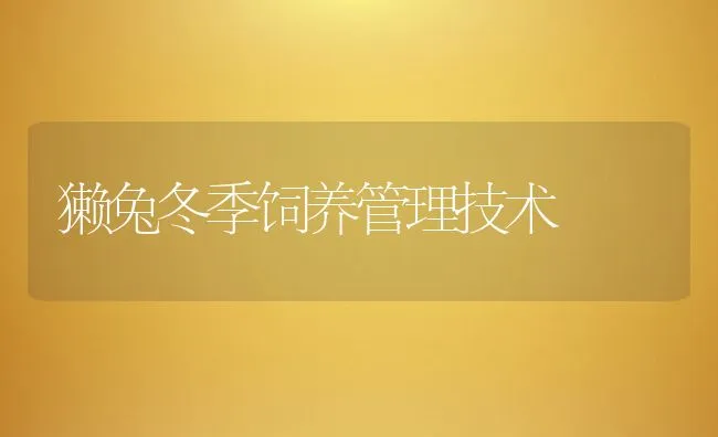 獭兔冬季饲养管理技术 | 动物养殖饲料