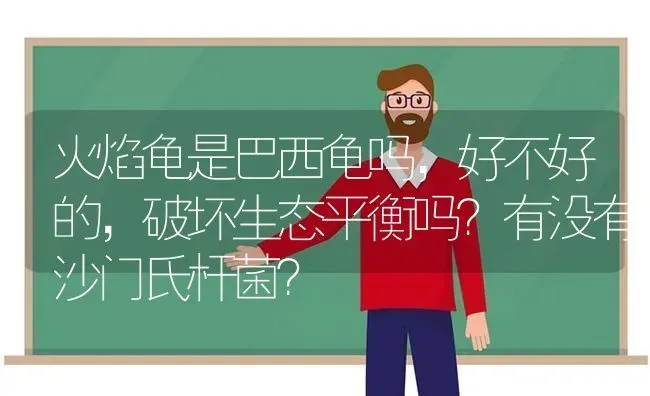 火焰龟是巴西龟吗，好不好的，破坏生态平衡吗？有没有沙门氏杆菌？ | 动物养殖问答