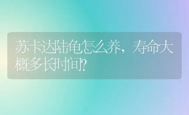 苏卡达陆龟怎么养，寿命大概多长时间？ | 动物养殖问答