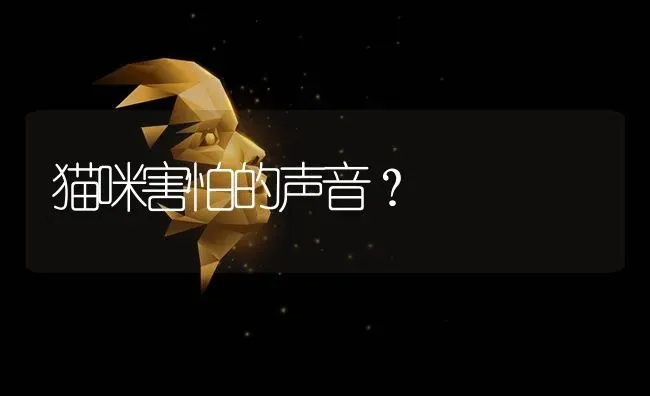 猫咪害怕的声音？ | 动物养殖问答