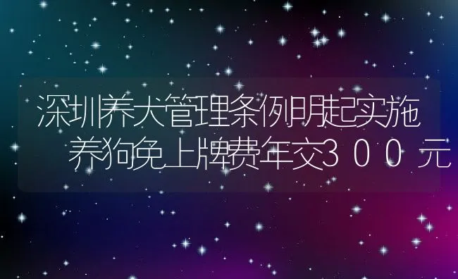 蛋鸡产蛋期易发生的问题与防治 | 水产养殖知识