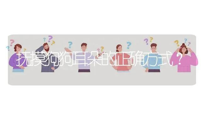 抚摸狗狗耳朵的正确方式？ | 动物养殖问答