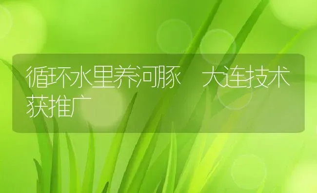 循环水里养河豚 大连技术获推广 | 动物养殖教程