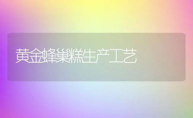 黄金蜂巢糕生产工艺 | 动物养殖学堂