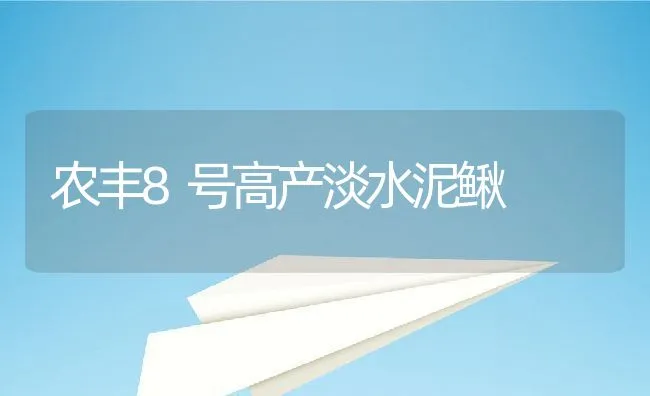 农丰8号高产淡水泥鳅 | 动物养殖学堂