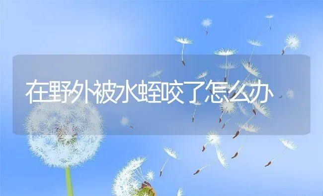 在野外被水蛭咬了怎么办 | 动物养殖百科