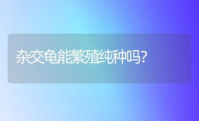 杂交龟能繁殖纯种吗？ | 动物养殖问答