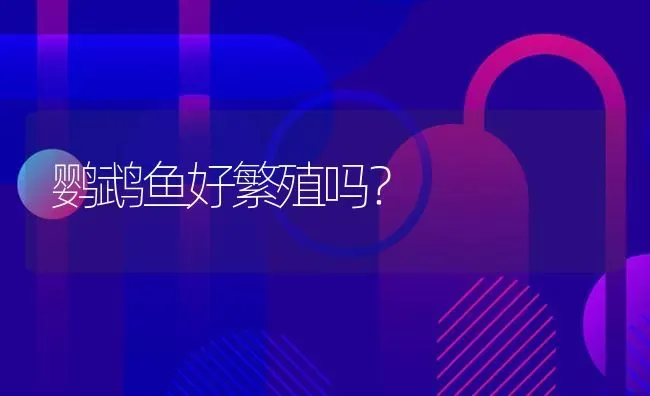 鹦鹉鱼好繁殖吗？ | 鱼类宠物饲养