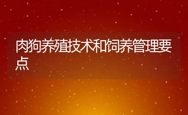 肉狗养殖技术和饲养管理要点 | 动物养殖百科