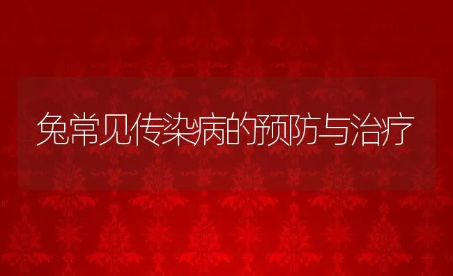 兔常见传染病的预防与治疗 | 水产养殖知识