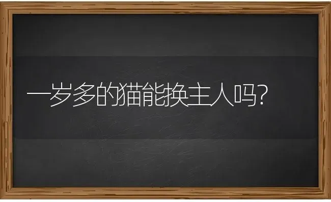 一岁多的猫能换主人吗？ | 动物养殖问答