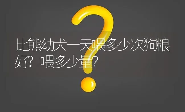 比熊幼犬一天喂多少次狗粮好?喂多少量？ | 动物养殖问答