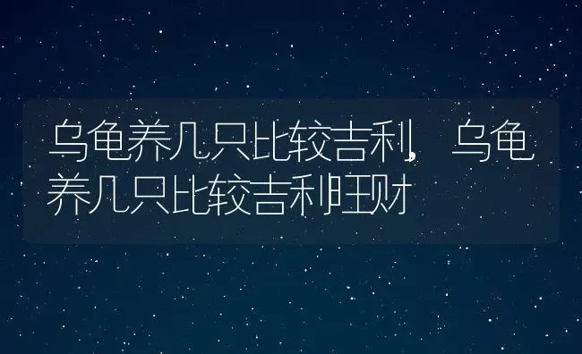 乌龟养几只比较吉利,乌龟养几只比较吉利旺财 | 宠物百科知识