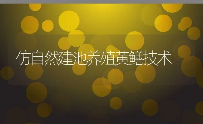 仿自然建池养殖黄鳝技术 | 水产养殖知识