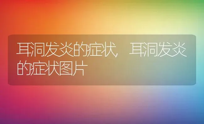 耳洞发炎的症状,耳洞发炎的症状图片 | 宠物百科知识