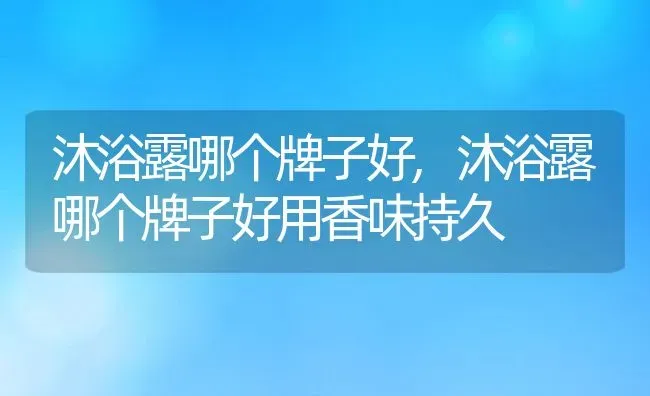 沐浴露哪个牌子好,沐浴露哪个牌子好用香味持久 | 宠物百科知识