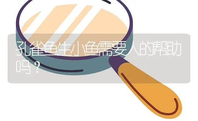 蓝白孔雀鱼超白体什么样子？ | 鱼类宠物饲养