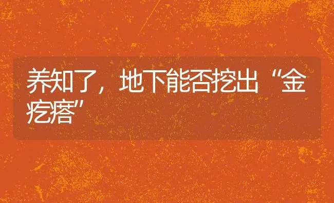 养知了，地下能否挖出“金疙瘩” | 动物养殖教程