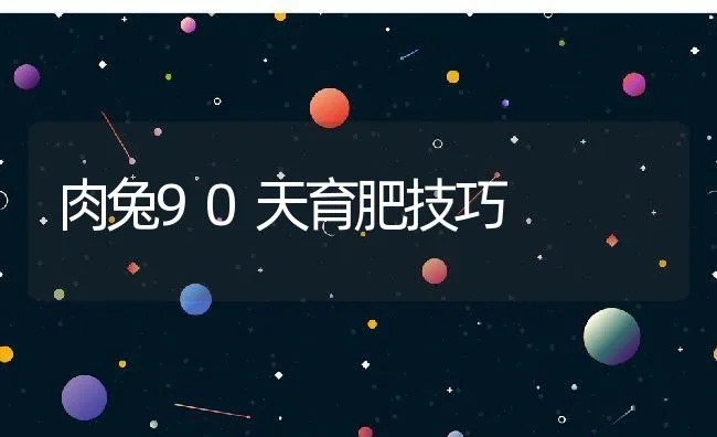 肉兔90天育肥技巧 | 水产养殖知识