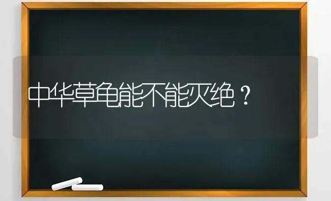 中华草龟能不能灭绝？ | 动物养殖问答