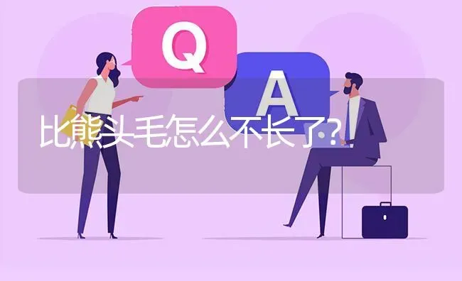 比熊头毛怎么不长了？ | 动物养殖问答