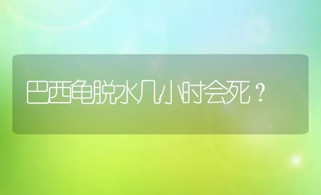 巴西龟脱水几小时会死？ | 动物养殖问答