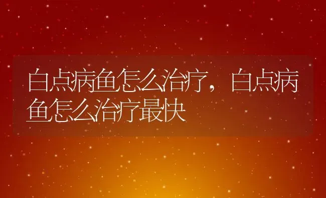 白点病鱼怎么治疗,白点病鱼怎么治疗最快 | 宠物百科知识