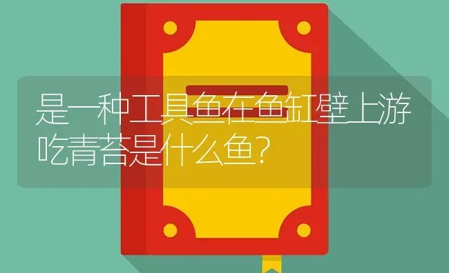 是一种工具鱼在鱼缸壁上游吃青苔是什么鱼？ | 鱼类宠物饲养