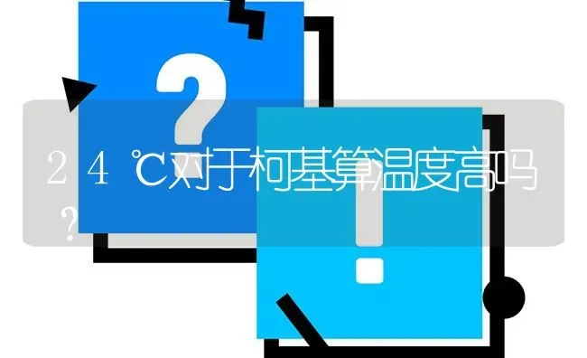 24℃对于柯基算温度高吗？ | 动物养殖问答