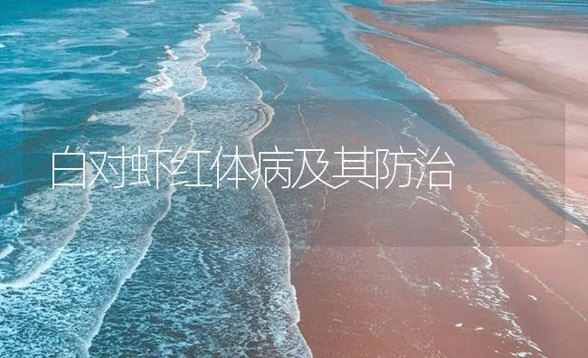 白对虾红体病及其防治 | 海水养殖技术