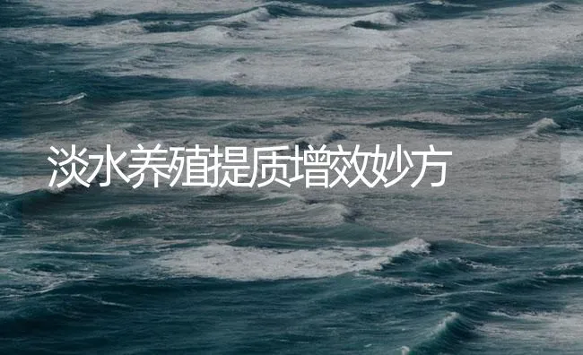 淡水养殖提质增效妙方 | 海水养殖技术