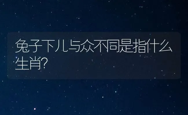 兔子下儿与众不同是指什么生肖？ | 动物养殖问答