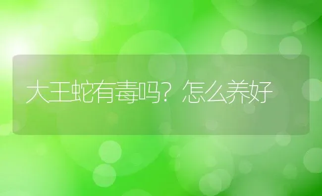 大王蛇有毒吗？怎么养好 | 动物养殖百科