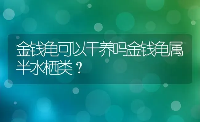 金钱龟可以干养吗金钱龟属半水栖类？ | 动物养殖问答