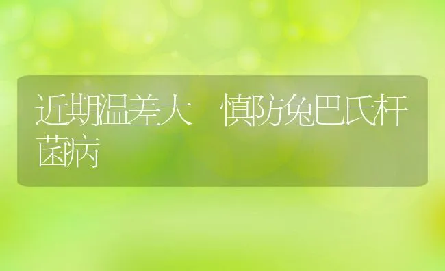 近期温差大 慎防兔巴氏杆菌病 | 动物养殖学堂