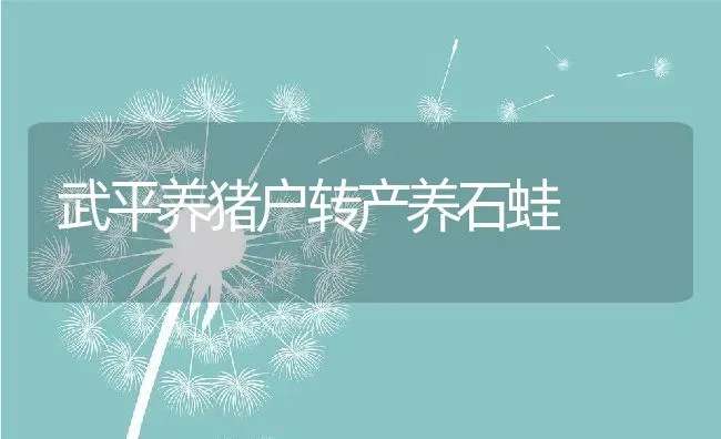 武平养猪户转产养石蛙 | 动物养殖教程