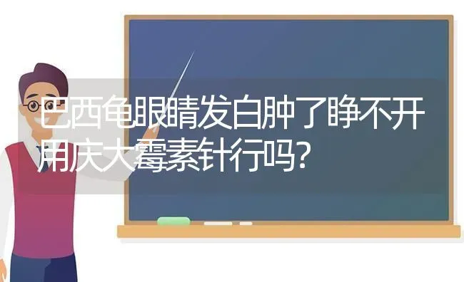 巴西龟眼睛发白肿了睁不开用庆大霉素针行吗？ | 动物养殖问答