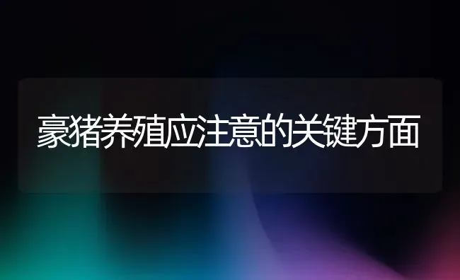 豪猪养殖应注意的关键方面 | 动物养殖教程