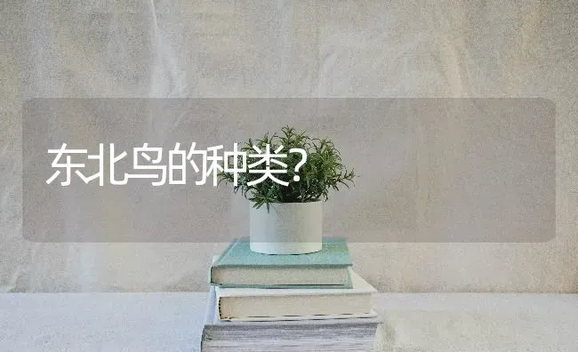 东北鸟的种类？ | 动物养殖问答