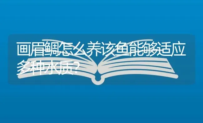 画眉鲷怎么养该鱼能够适应多种水质？ | 鱼类宠物饲养