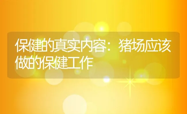 保健的真实内容：猪场应该做的保健工作 | 动物养殖饲料